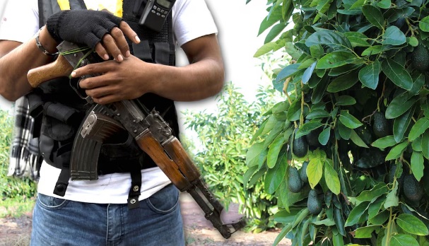 Crimen controla precios en 10 estados de México; van desde tortillas hasta útiles escolares