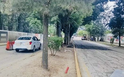 Sheinbaum hace el milagro; su visita a #Oaxaca por Primer Informe obliga a Jara a bachear avenida Tecnológico Sheinbaum hace el milagro; su visita a #Oaxaca por Primer Informe obliga a Jara a bachear avenida Tecnológico