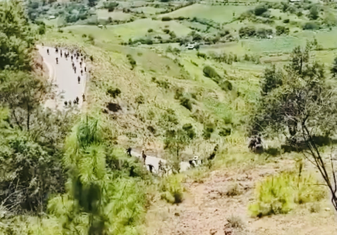 Autoridades de Santa María Yolotepec, #Oaxaca, denuncian invasión y destrucción de cultivos por Yosondúa tras conflicto agrario
