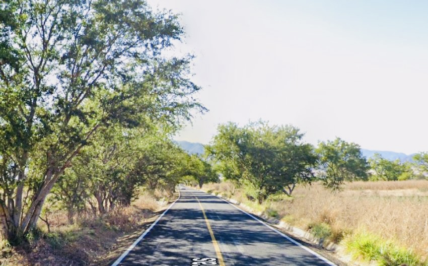 Adolescente hallada con signos de violencia sexual y herida de bala en carretera de Zaachila, #Oaxaca