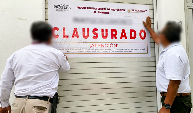 Profepa clausura “Huarachería Cisneros” en Santa Lucía del Camino, #Oaxaca, por venta ilegal de artículos de fauna silvestre