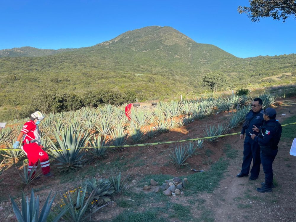 Contadora muere en volcadura de auto tras degustación de mezcal en San Dionisio Ocoteoc, #Oaxaca Contadora muere en volcadura de auto tras degustación de mezcal en San Dionisio Ocoteoc, #Oaxaca