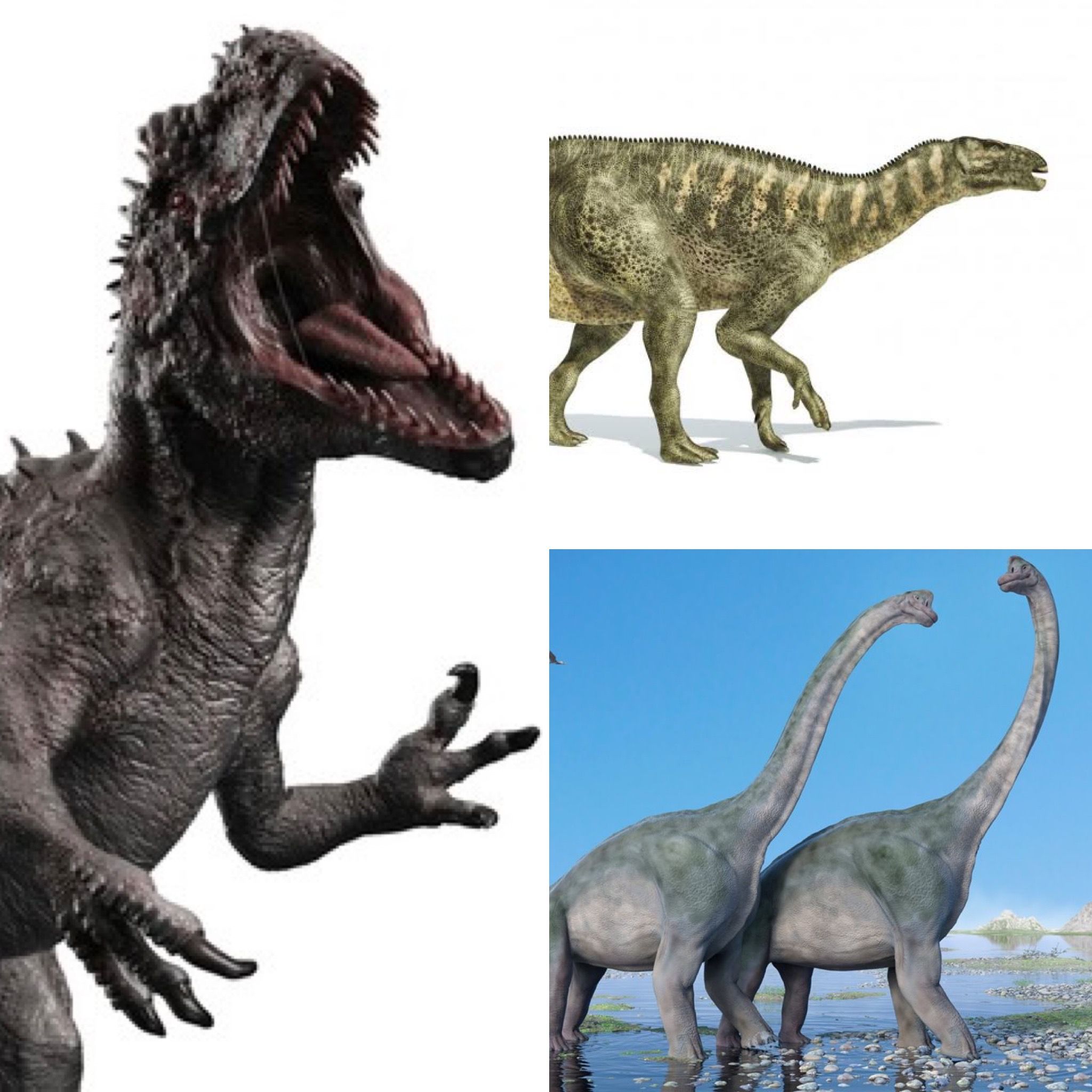 Hace 120 millones de años, iguanodontes y saurópodos del Cretácico Inferior caminaron en la Reserva de la Biosfera de #Oaxaca y Puebla