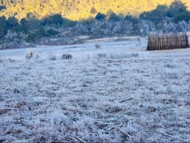 Nevada en la Mixteca cubre de blanco el territorio de Santa María Yucuhiti, #Oaxaca