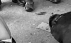 Balacera tras partido de beisbol deja dos fallecidos en Santo Domingo Petapa, #Oaxaca; Fiscalía busca al responsable