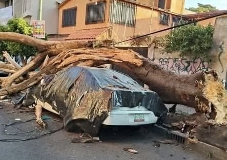 Adulto mayor muere al evacuar su edificio por sismo de 6.5 en CDMX; reportan movimiento y protocolos activados tras temblor
