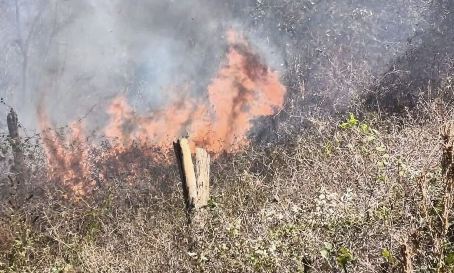 Tragedia en Barra de Copalita: dos personas fallecen por incendio en predio de Miramar, San Miguel del Puerto