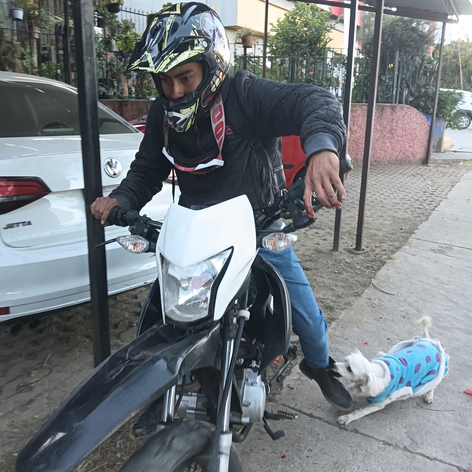 Motociclista se impacta en automóvil estacionado en Álamos, Oaxaca de Juárez; huye pese a valiente intento de perrito por detenerlo