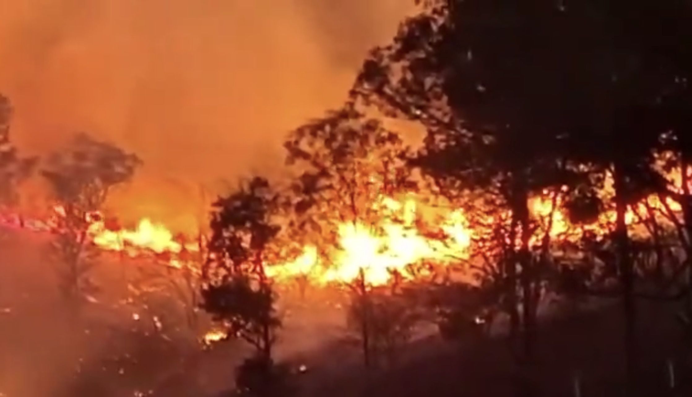 Oaxaca: Incendio de pastizales en cerros de Santa Anita y Xoxocotlán, controlado por cuadrillas de Coesfo y voluntarios