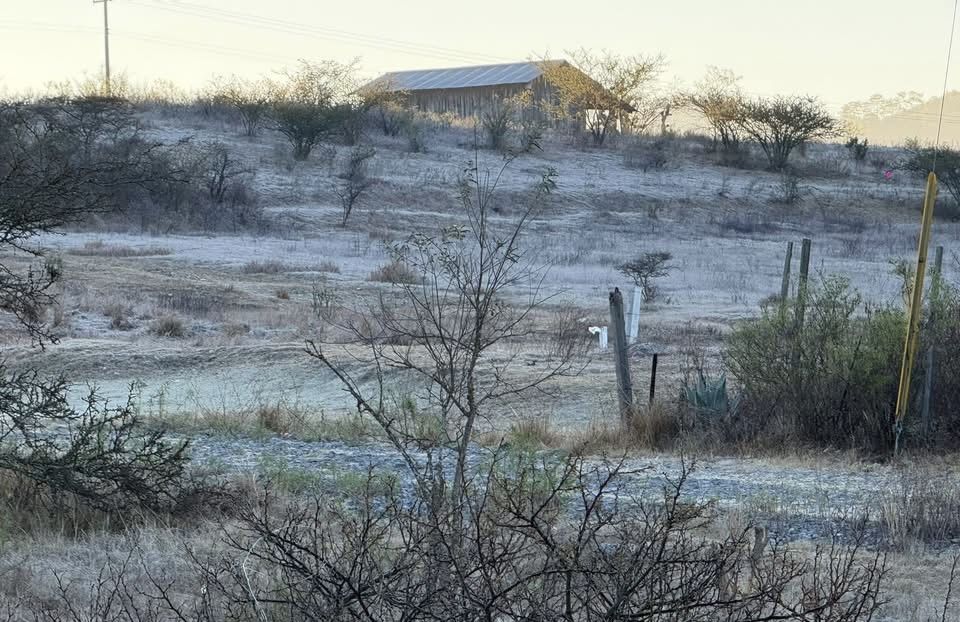 Oaxaca amanece con temperaturas bajo cero: una masa de aire ártico congela las zonas serranas