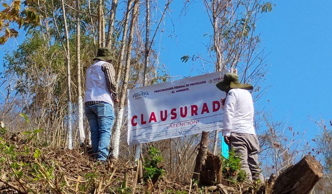 Profepa clausura dos fraccionamientos ilegales por cambio de uso de suelo en Costa e Istmo de #Oaxaca