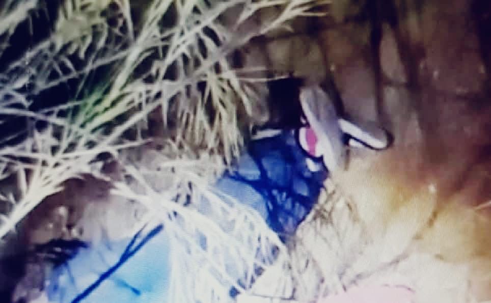 Con Jara, #Oaxaca escala al octavo lugar nacional en homicidios dolosos igualando cifras del Estado de México