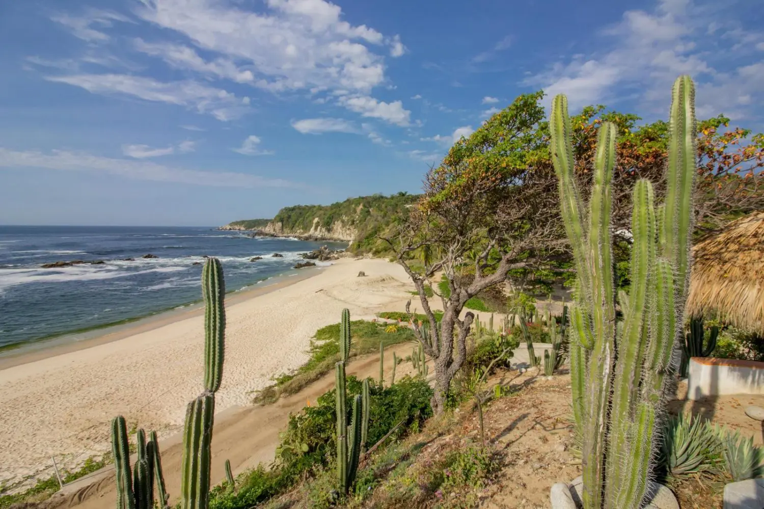 Denuncian ocupación irregular de terrenos en playa Salchi por parte de Codedi en #Oaxaca Denuncian ocupación irregular de terrenos en playa Salchi por parte de Codedi en #Oaxaca