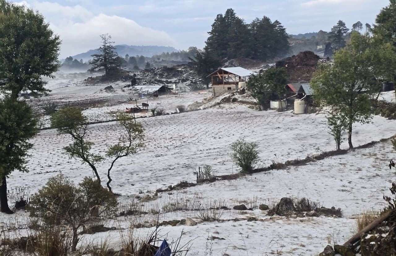 Una postal increíble de nieve cubrió San Lucas Yosonicaje perteneciente a Santa María Yucuhiti este sábado