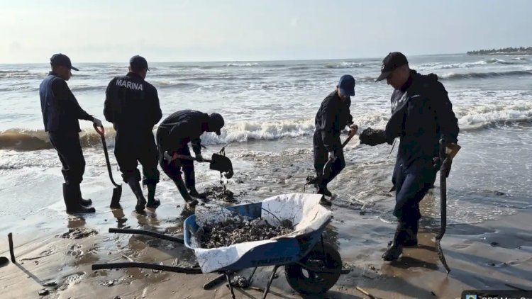 Exdirector de CNA acusa a Sheinbaum por mentir sobre causa del derrame de crudo en el Golfo de México Exdirector de CNA acusa a Sheinbaum por mentir sobre causa del derrame de crudo en el Golfo de México