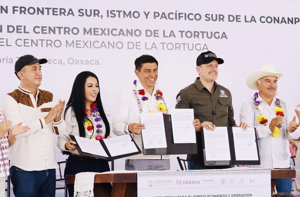 Encabeza Salomón Jara acciones para conservación y protección de la tortuga marina en Oaxaca