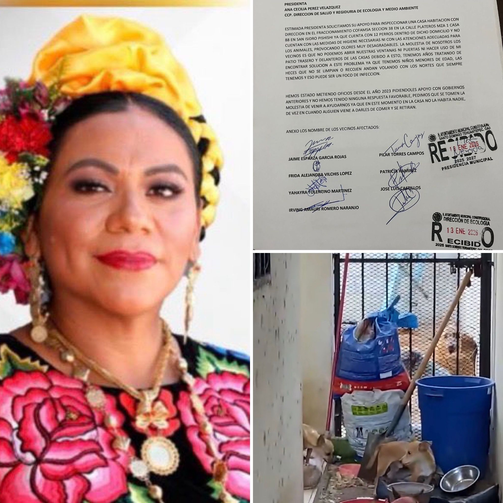 Otro caso: negligencia en Tehuantepec provoca muerte de mascotas y grave foco de infección sanitaria en Pishishi