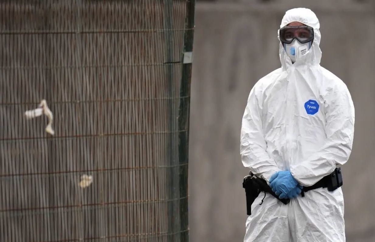 México emite aviso epidemiológico por brote de hantavirus en crucero; no se reportan casos nacionales