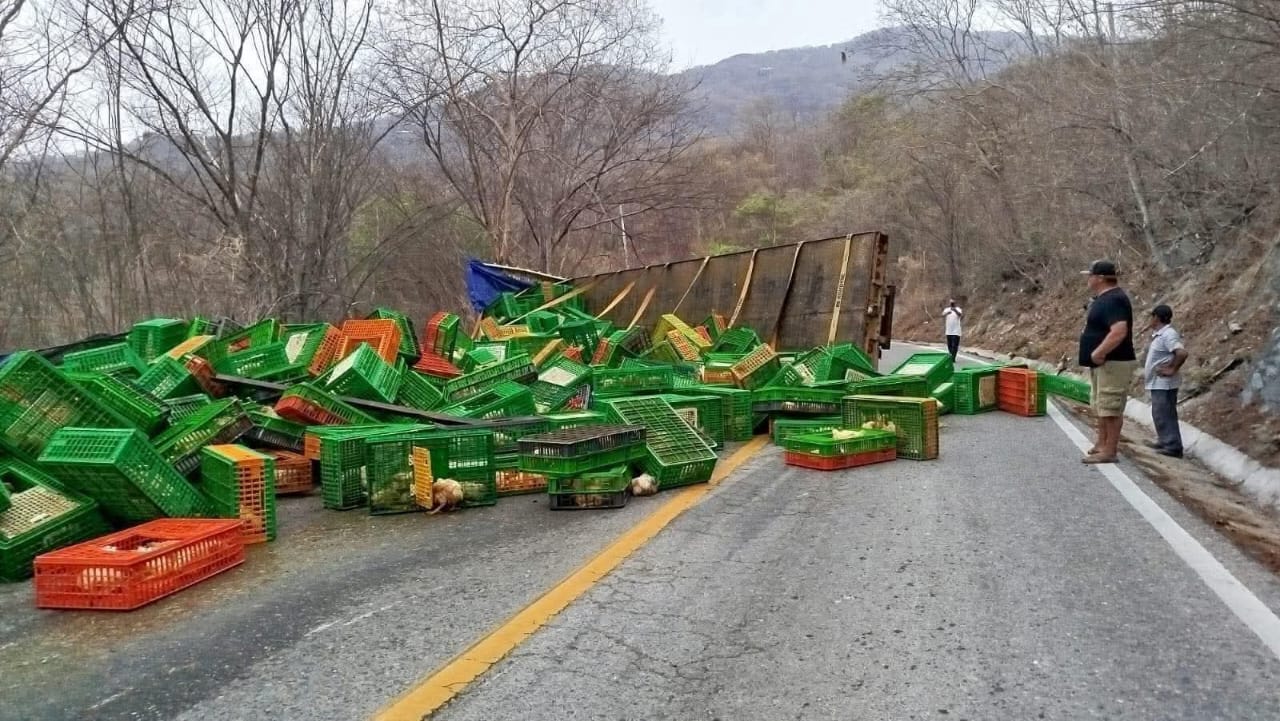 Volcadura de tráiler con pollos en Costera 200 desata rapiña habitual en tramo Salina Cruz-Huatulco