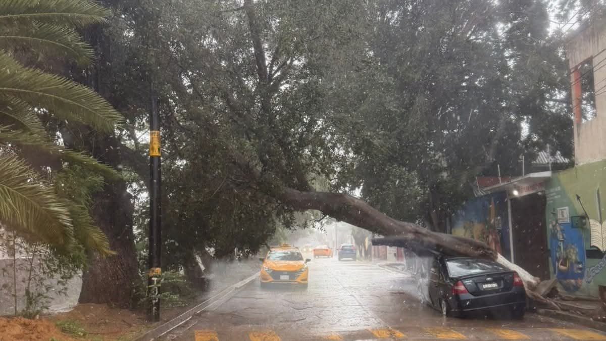 Una intensa tormenta azota fuertemente la ciudad de Oaxaca y su zona metropolitana; causa inundaciones y destrozos, reportan vecinos Una intensa tormenta azota fuertemente la ciudad de Oaxaca y su zona metropolitana; causa inundaciones y destrozos, reportan vecinos