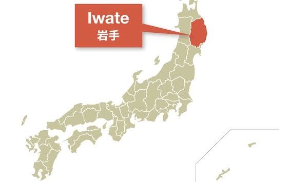 Otro sismo de 6.9 grados sacude la costa de Iwate en Japón sin registrar daños materiales