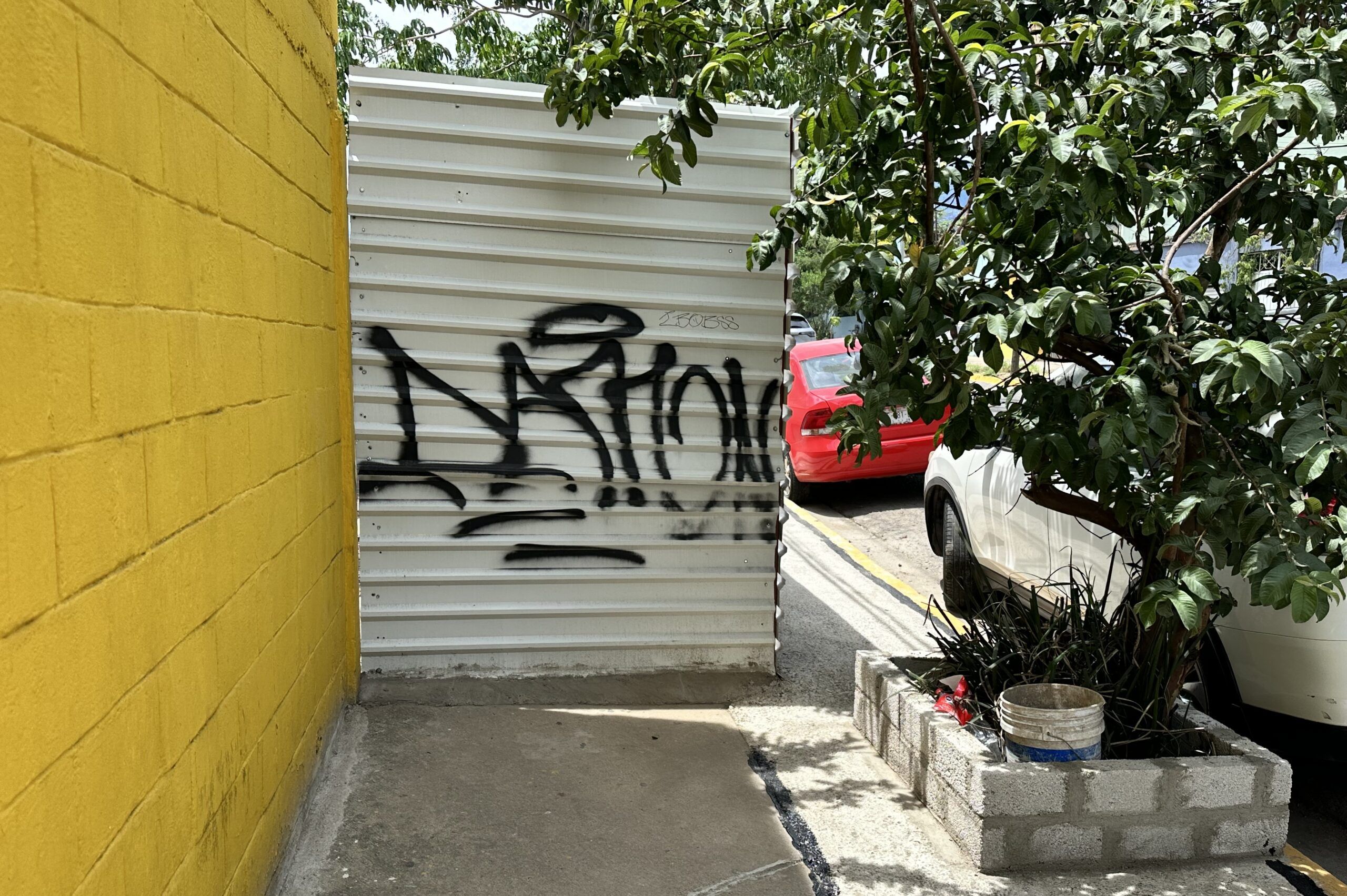 Fibra Danhos engulló una calle y, a la par, invade banquetas para construir Parque Oaxaca en colonia Reforma