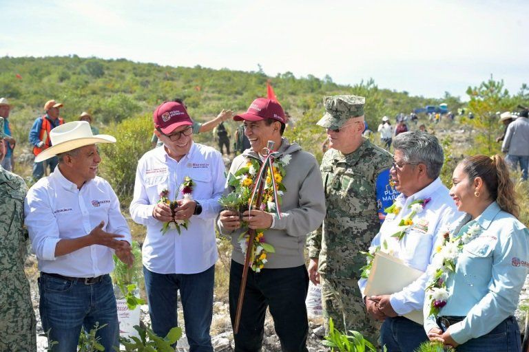 Oaxaca siembra 12 mil plantas nativas en Teotongo como parte de la Jornada Nacional de Reforestación 2026 Oaxaca siembra 12 mil plantas nativas en Teotongo como parte de la Jornada Nacional de Reforestación 2026