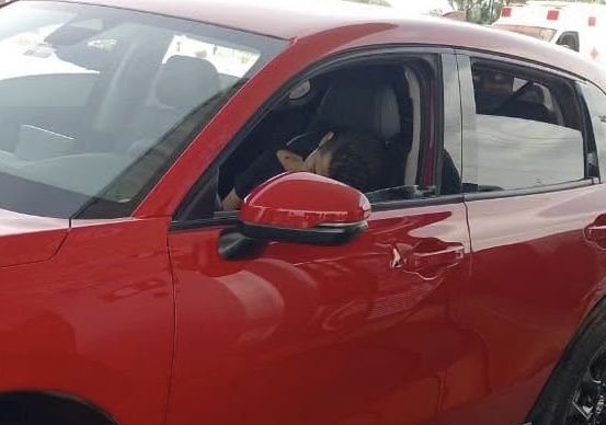 Ejecutan a sujeto en su vehículo en una gasolinera de Miahuatlán, Oaxaca; ya no pudo recoger a hija de escuela