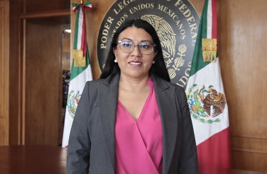 Diputada del PT, Aracely Cruz, denuncia que teme por su vida y responsabiliza a funcionarios estatales de cualquier agresión en su contra Diputada del PT, Aracely Cruz, denuncia que teme por su vida y responsabiliza a funcionarios estatales de cualquier agresión en su contra