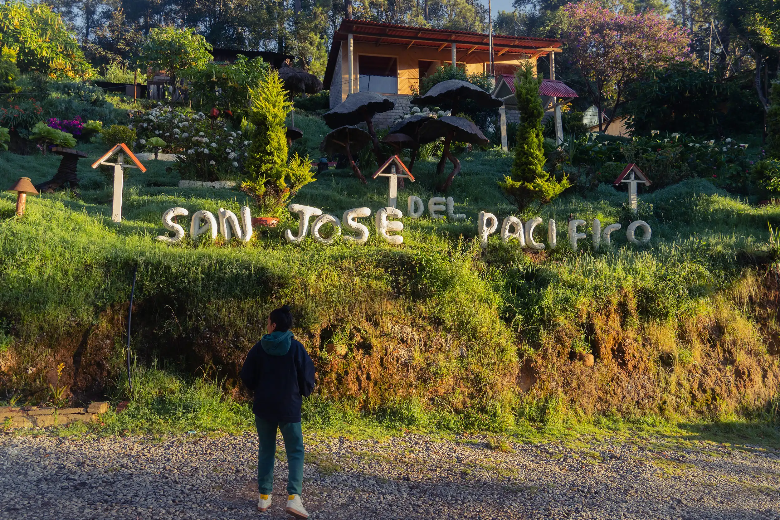San José del Pacífico, la nueva capital informal de los hongos mágicos en Oaxaca; la demanda, en crecimiento San José del Pacífico, la nueva capital informal de los hongos mágicos en Oaxaca; la demanda, en crecimiento