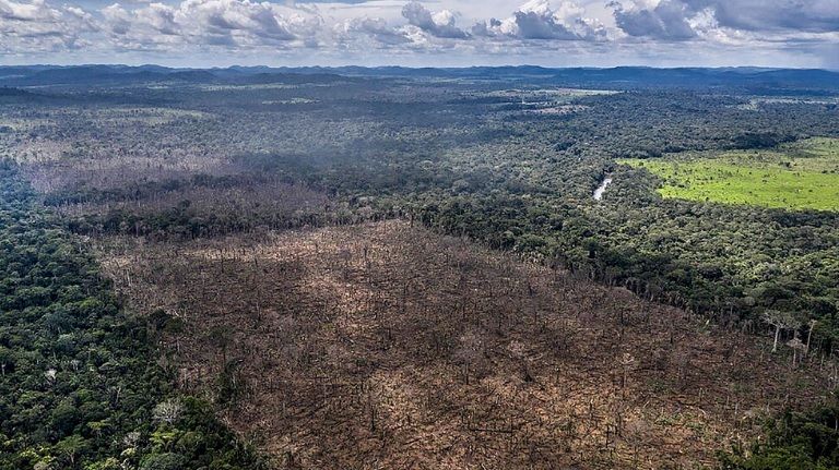 México, con más de un millón de hectáreas deforestadas en los últimos 25 años
