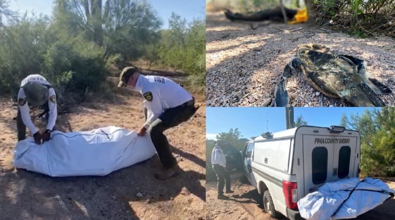 Cuerpos de migrantes en espera de identificación, en Arizona; recuperan 2 mil 14 cadáveres de mexicanos en 25 años Cuerpos de migrantes en espera de identificación, en Arizona; recuperan 2 mil 14 cadáveres de mexicanos en 25 años