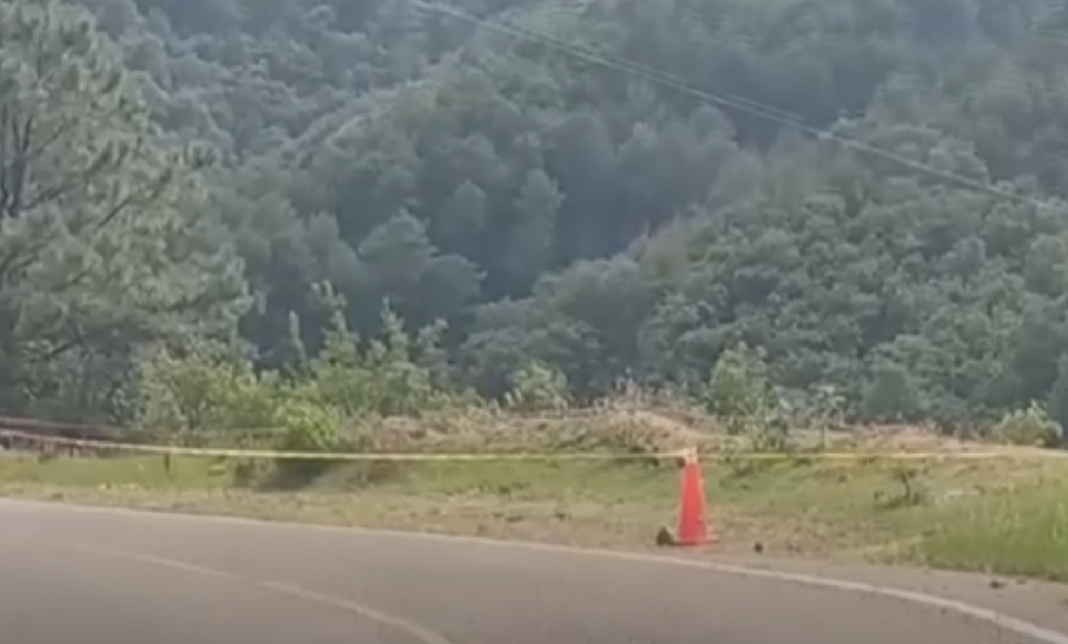 Fiscalía investiga como feminicidio hallazgo de joven asesinada en barranca de Zaachila, Oaxaca, tras alerta ciudadana Fiscalía investiga como feminicidio hallazgo de joven asesinada en barranca de Zaachila, Oaxaca, tras alerta ciudadana