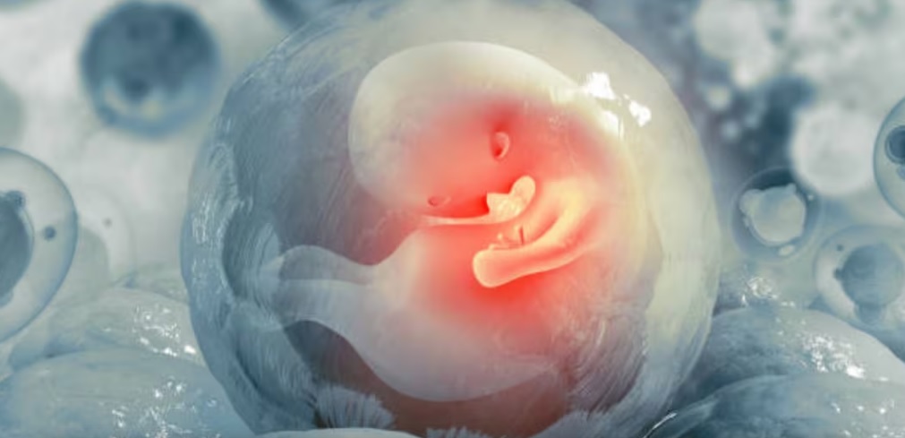 Nace bebé de un embrión congelado hace 22 años en Grecia; familia pide eliminar límite de edad para fecundación in vitro Nace bebé de un embrión congelado hace 22 años en Grecia; familia pide eliminar límite de edad para fecundación in vitro