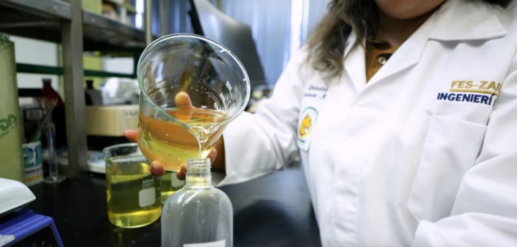 Es-Pumita, el jabón fabricado con aceite usado; estudiantes de la UNAM buscan evitar obstrucción de drenaje Es-Pumita, el jabón fabricado con aceite usado; estudiantes de la UNAM buscan evitar obstrucción de drenaje