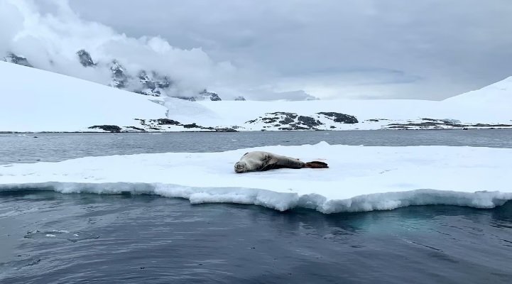 Glaciar se derrite en Suiza y ‘devuelve’ restos de un avión desaparecido desde 1963 Glaciar se derrite en Suiza y ‘devuelve’ restos de un avión desaparecido desde 1963