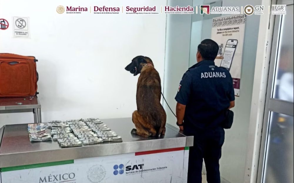 Decomisan más de 365 mil dólares no declarados a viajero de Dallas en aeropuerto de Oaxaca Decomisan más de 365 mil dólares no declarados a viajero de Dallas en aeropuerto de Oaxaca