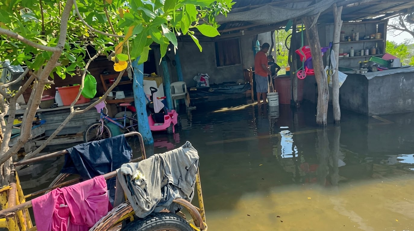 Tres comunidades pesqueras de Tapanatepec, Oaxaca, piden auxilio a Sheinbaum por mar de fondo, tras huracán Simón Tres comunidades pesqueras de Tapanatepec, Oaxaca, piden auxilio a Sheinbaum por mar de fondo, tras huracán Simón