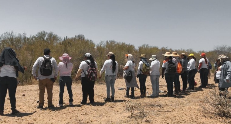 Grupos de búsqueda se disparan en México; Amnistía Internacional documenta más de 234 en 2026
