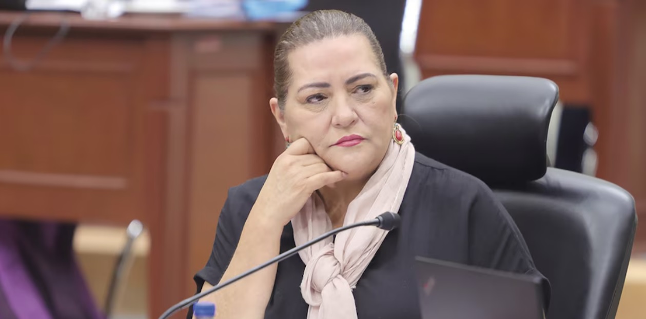 Guadalupe Taddei renuncia al INE este lunes; decisión busca proteger al Instituto, afirma Guadalupe Taddei renuncia al INE este lunes; decisión busca proteger al Instituto, afirma