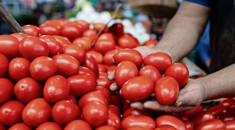Precio del tomate se dispara; inflación en México repunta a 3.62% en octubre Precio del tomate se dispara; inflación en México repunta a 3.62% en octubre